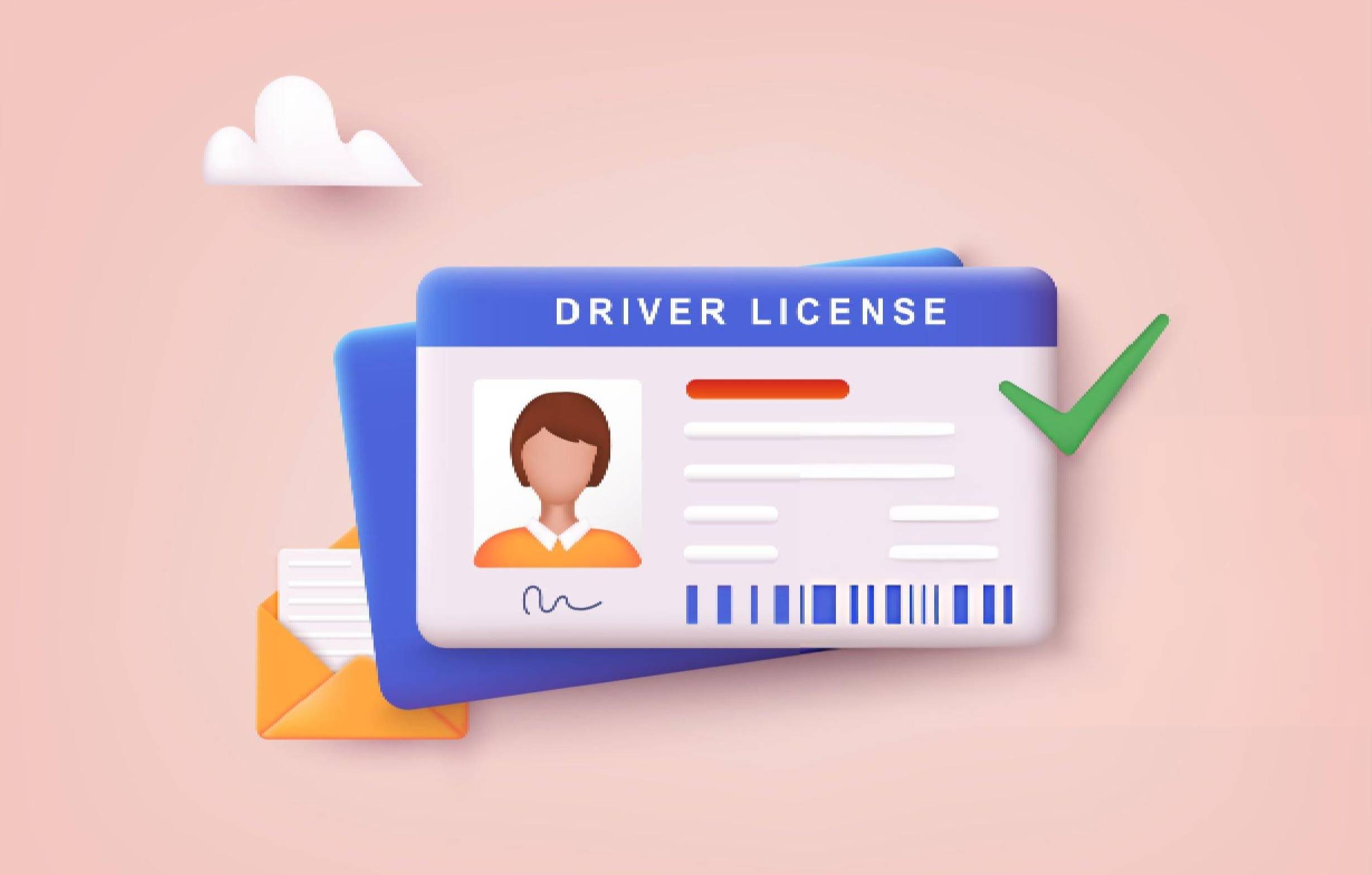 Issue Duplicate Driving License